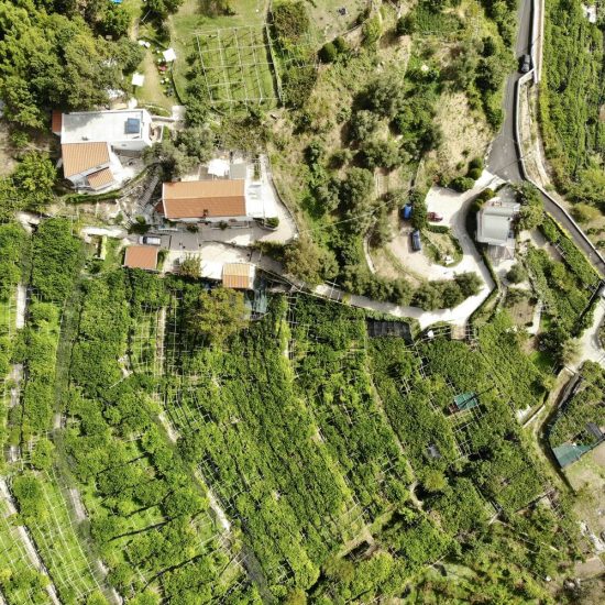 created by dji camera