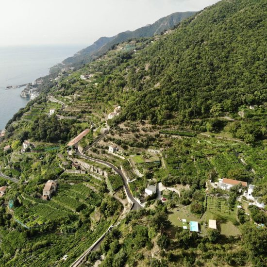 created by dji camera